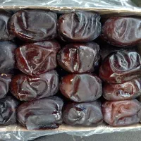 خرمای رطب درجه یک