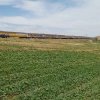 زمین کشاورزی|اجارهٔ دفتر صنعتی، کشاورزی، تجاری|محمدبار, |دیوار