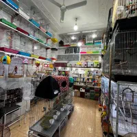 پتلند طاها انواع لوازم جانبی پرندگان