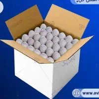 تخم مرغ کارتنی ۱/۶۷۰
