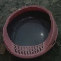 لوازم گربه|لوازم جانبی حیوانات|مشهد, انقلاب|دیوار