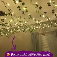 ریسه ، ریسه برگ|ریسه و چراغ تزئینی|اردکان, |دیوار