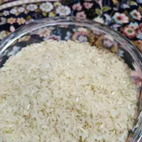 برنج کامفیروزی ب شرط پخت