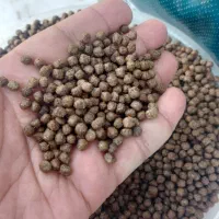 خوراک ماهی کپور