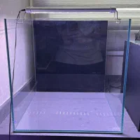 اکواریوم APA