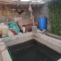 فروش-باغچه