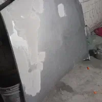 کاپوت زانتیا