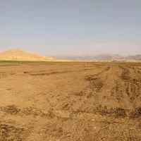 اجاره 14هکتار زمین کشاورزی سیستمی برای چغندرگندم|اجارهٔ دفتر صنعتی، کشاورزی، تجاری|سرپل ذهاب, |دیوار