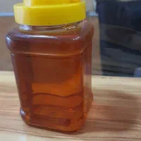 شهد تغذیه تناژ