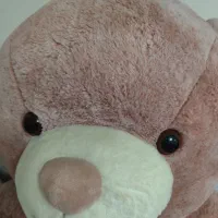 عروسک خرس|کلکسیون و سرگرمی|رباط‌کریم, رباط‌کریم|دیوار