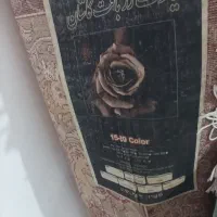 قالی 12متری|فرش|آباده, |دیوار