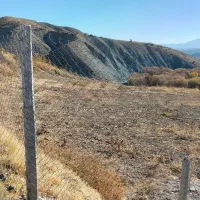 فروش زمین|فروش دفتر صنعتی، کشاورزی، تجاری|الشتر, |دیوار