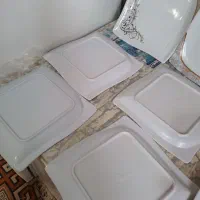 بشقاب ملامین|ظروف سرو و پذیرایی|لنگرود, |دیوار