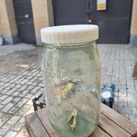 بانکه  و بطری شیشه ای