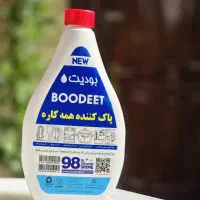 شوینده همه کاره بودیت