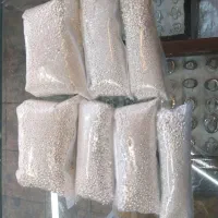 فروش نقره ساچمه و شمش بدون درصد