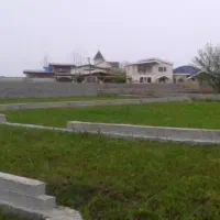 زمین ۲۵۰۰ متر کشاورزی داخل شهرک سیسنگان