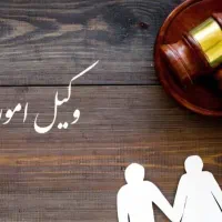 وکیل خانواده (تنظیم لایحه و دادخواست تخصصی)