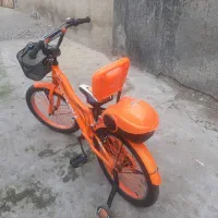 دوچرخه نو|دوچرخه، اسکیت، اسکوتر|مزرعه کتول, |دیوار