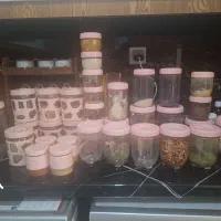 ظروف حبوبات و ادویه