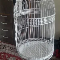 قفس پرنده|لوازم جانبی حیوانات|رویان, |دیوار