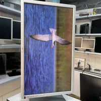 مانیتور U2312 LED IPS ضمانت یک‌ماهه|قطعات و لوازم جانبی رایانه|کرج, شاهین‌ویلا|دیوار