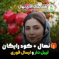 فروش انواع نهال انار رقم آمریکایی با باردهی بالا