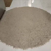 پادری گرد یک ونیم در یک ونیم