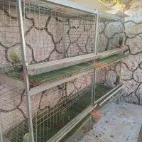 قفس صنعتی تمام گالوانیزه|لوازم جانبی حیوانات|نجفآباد, جوزدان|دیوار