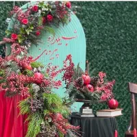 راننده با وانت