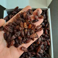 خوراکی|خوردنی و آشامیدنی|کاشمر, |دیوار