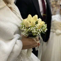 تالار پذیرایی سفیر در قلب شهر کرمان