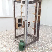 قفس پرنده بزرگ و جا دار|لوازم جانبی حیوانات|برازجان, |دیوار