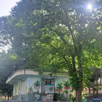 سیم کارت دائمی