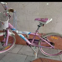 دوچرخه ۲۰صورتی