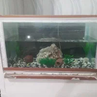 آکواریوم ۸میل با تمام وسایل ۷۰۰هزار