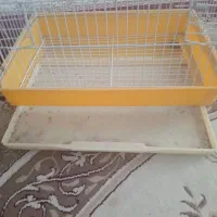 قفس|لوازم جانبی حیوانات|ایلام, |دیوار