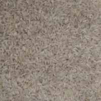 برنج محلی|خوردنی و آشامیدنی|دره شهر, |دیوار