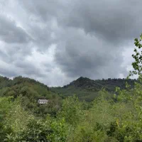 زمین 6 هکتاری