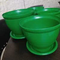 گلدان های سبز