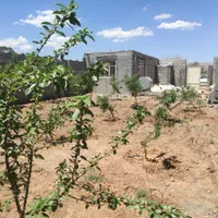 نقلی مزرعه جلال آباد بدون آب معاوضه ماشین و زمین