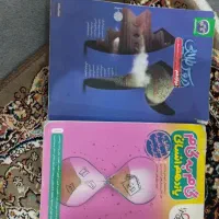 گام به گام انسانی