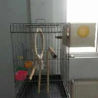 قفس ۱۰۳۳ درشت بافت با لوازم کامل مخصوص طوطیسان|لوازم جانبی حیوانات|تهران, مشیریه|دیوار