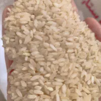 برنج  فجر برنج ضیغمی ممسنی نیم دانه کمفیروزی لوبیا|خوردنی و آشامیدنی|کازرون, |دیوار