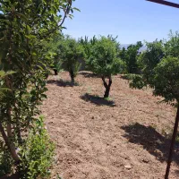 باغ|فروش دفتر صنعتی، کشاورزی، تجاری|مبارکه, |دیوار