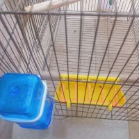 قفس|لوازم جانبی حیوانات|قم, شهرک امام حسین|دیوار