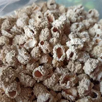 فروش عمده آویشن بهارنارنج گیاهان دارویی|عمده‌فروشی|شیراز, بازار|دیوار
