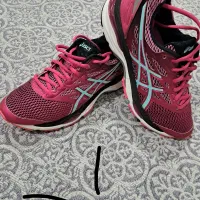 کفش اورجینال تاناکورا