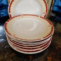 ۱۰ عدد بشقاب چینی پلوخوری