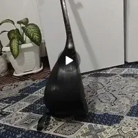سازقوپوز